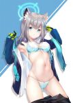  1girl animal_ears armpits blue_archive blue_eyes breasts commentary_request gloves grey_hair hair_ornament highres jacket looking_at_viewer medium_breasts navel noan panties scarf shiroko_(blue_archive) simple_background solo underwear 