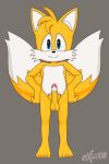  2020 2_tails anthro balls black_nose blue_eyes canid canine digital_media_(artwork) erection excito fox front_view fur genitals grey_background hair hands_on_hips hi_res looking_at_viewer male mammal miles_prower multi_tail multicolored_body multicolored_fur nude orange_body orange_fur orange_hair penis pubes signature simple_background solo sonic_the_hedgehog_(series) standing two_tone_body two_tone_fur white_body white_fur 