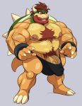  analon_(artist) anthro arm_hair beard belly big_penis body_hair bowser bulge chest_hair clothed clothing facial_hair genitals grey_background hair hairy hi_res koopa male mario_bros musclegut muscular muscular_anthro muscular_male navel nintendo partially_clothed penis pubes red_hair scalie simple_background solo speedo swimwear topless video_games 