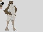  4:3 absurd_res anthro bewick&#039;s_wren certhioid confident darell-sama eyebrows feathers fluffy hands_on_hips hi_res male model_sheet solo standing tail_feathers wren 