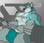  2018 abs abstract_background absurd_res anthro barazoku barbell bicep_curl biceps big_biceps big_bulge big_muscles big_pecs blue_body blue_fur blue_hair bodily_fluids body_writing bulge canid canine canis clothed clothing deltoids exercise fur gradient_background hair hi_res male mammal muscular muscular_anthro muscular_male narrowed_eyes nightterror nipples pecs simple_background sitting solo sweat tattoo thick_thighs underwear underwear_only vein veiny_muscles weightlifting weights wolf workout 