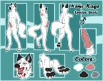  blood blood_on_face blood_on_mouth bodily_fluids canid canine canis genitals hi_res kage kylemonrow male mammal model_sheet pawpads paws solo wolf 