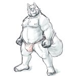  1:1 2020 anthro asian_clothing belly bulge canid canine canis clothing east_asian_clothing fundoshi humanoid_hands japanese_clothing kemono low_res male mammal moobs nipples ojijinotete overweight overweight_anthro overweight_male simple_background solo underwear white_background wolf 