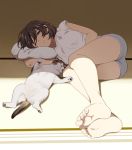  1girl ;&lt; animal ass bangs bare_legs barefoot blush brown_eyes brown_hair cat closed_mouth feet full_body grey_shorts half-closed_eye lying mattaku_mousuke on_side original paws pillow shirt short_hair short_shorts short_sleeves shorts soles solo swept_bangs toes white_shirt 