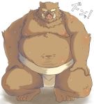  2011 anthro belly bodily_fluids brown_body brown_fur fur hi_res humanoid_hands ibuki_haruno japanese_text kemono male mammal overweight overweight_anthro overweight_male simple_background solo suid suina sumo sus_(pig) sweat text white_background wild_boar 