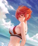  azto_dio bikini_top fire_emblem fire_emblem_if hinoka swimsuits wet 