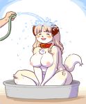  anthro blonde_hair blush breasts canid canine canis crossed_legs digital_media_(artwork) disembodied_hand domestic_dog eyes_closed female floppy_ears fur hair happy hi_res holding_hose hose kemono kin-shun long_hair mammal nipples nude open_mouth overweight overweight_female redraw sitting slightly_chubby solo_focus spraying_water summer washtub water wet yellow_body yellow_fur 