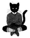  anthro black_body black_fur bottomwear clothing crossed_legs danielpup domestic_cat dress_shirt felid feline felis footwear fur greyscale legwear long_whiskers looking_at_viewer male mammal monochrome monotone_body raised_tail shirt shoes shorts sitting smile socks solo sweater topwear whiskers 