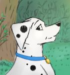  101_dalmatians canid canine canis collar dalmatian disney domestic_dog female feral fur grass kaze~inu leaf looking_at_viewer mammal perdita sketch solo spots_(marking) tree white_body white_fur 