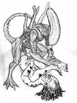  alien monsterbait predator xenomorph yautja 