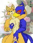  anthro avian balls bird canine duo falco_lombardi fox fox_mccloud gay male mammal nintendo nipple_pinch nipples penis star_fox video_games zenmigawa 