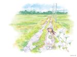  1girl brown_eyes brown_hair bucket_hat bug butterfly butterfly_net child copyright_request dress flower grass hand_net hat holding_butterfly_net insect insect_cage outdoors power_lines rural scenery solo sundress tanaka_kunihiko white_footwear 