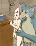  2019 absurd_res anthro anthro_on_anthro beastars blush bottomwear breasts canid canine canis claws clothed clothed/nude clothed_male_nude_female clothing deermouze domestic_rabbit duo female fur grey_body grey_fur haru_(beastars) hi_res inner_ear_fluff inside interspecies lagomorph larger_male legoshi_(beastars) leporid licking male male/female mammal navel nipples nude open_mouth oryctolagus pants predator/prey rabbit sharp_teeth shoulder_lick size_difference smaller_female teeth tissues tongue tongue_out topless tuft white_body white_fur wolf 