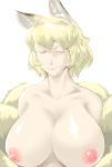  1girl animal_ears bangs blonde_hair breasts closed_mouth collarbone fox_ears fox_girl fox_tail half-closed_eyes highres huge_breasts looking_at_viewer medium_hair multiple_tails nipples nude parted_bangs shiny shiny_skin simple_background smile solo stomach tail touhou upper_body white_background yakumo_ran yellow_eyes yukaran_nosuke 