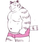  2014 anthro belly clothing felid kemono kick_(artist) male mammal moobs navel nipples overweight overweight_anthro overweight_male pantherine simple_background solo tiger underwear white_background 