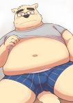  2017 anthro belly blush bulge canid canine canis clothed clothing domestic_dog eyewear glasses hi_res kemono kick_(artist) male mammal navel obese obese_anthro obese_male open_clothing open_shirt open_topwear overweight overweight_anthro overweight_male shirt simple_background solo topwear underwear 