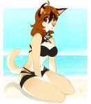  2020 anthro breasts brown_eyes brown_hair canid canine canis clothed clothing danika_(wolflady) digital_media_(artwork) domestic_dog eyebrows eyelashes female hair mammal smile solo wolflady 