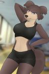  anthro beastars canid canine canis exercise female juno_(beastars) kat_(artist) mammal solo sportswear wolf workout 