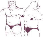  2014 anthro belly blush bulge butt clothing kemono kick_(artist) male mammal moobs nipples overweight overweight_anthro overweight_male simple_background solo underwear ursid white_background 