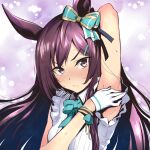  1girl animal_ears aqua_bow arm_behind_head armpits bow closed_mouth commentary_request covering gloves hair_bow horse_ears horse_girl long_hair looking_at_viewer mejiro_dober_(umamusume) nakahira_guy purple_eyes purple_hair solo sweat umamusume upper_body white_gloves 