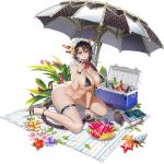  1girl ass beach_towel bikini black_wyrm_s9 blanket blush book bottle bottomless braid breasts butt_crack c-string can cleavage cooler crab earrings flower food fruit full_body hair_between_eyes hair_flower hair_ornament hermit_crab high_heels highres huge_breasts ice jewelry last_origin long_hair looking_at_viewer maid_headdress navel official_art picnic plant red_eyes single_braid sitting swimsuit tachi-e taesi thighs towel transparent_background umbrella very_long_hair wariza 