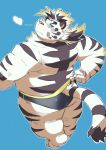  2020 anthro ayame42612 blue_background blue_eyes blush butt clothing felid fur hi_res kemono licho_(tas) male mammal overweight overweight_anthro overweight_male pantherine simple_background solo swimwear tiger tokyo_afterschool_summoners video_games white_body white_fur 