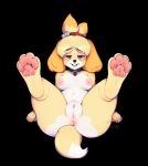 &lt;3 &lt;3_eyes 4_toes animal_crossing anthro anus big_butt black_background breasts butt canid canine canis clitoris collar demago domestic_dog feet female fur genitals hair half-closed_eyes hi_res hindpaw imminent_sex isabelle_(animal_crossing) legs_up looking_at_viewer mammal narrowed_eyes nintendo nipples nude open_mouth pawpads paws presenting presenting_hindquarters pussy raised_leg seductive shih_tzu simple_background sitting smile solo spread_legs spreading teeth thick_thighs toes tongue toy_dog video_games wide_hips yellow_body yellow_eyes yellow_fur 