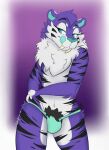 ambiguous_gender anthro body_hair bulge clothing fangs felid feline fluffy fur genitals girly hair hairy hi_res male mammal neck_tuft pinup pose pubes purple_body purple_fur rue_royal_(smilingscorpio) saber-toothed_tiger sabertooth_(anatomy) simple_background smilingscorpio solo teasing teeth tuft