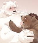  2020 anthro bite blood blush bodily_fluids brown_body brown_fur crushfang_(sdorica_sunset) dagger_(sdorica_sunset) duo fur hi_res humanoid_hands kemono kumao mammal nipple_bite nipple_fetish nipple_play polar_bear scar sdorica_sunset simple_background sweat ursid ursine white_body white_fur 