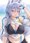  1girl absurdres animal_ears arknights arm_up bangs beach blue_gloves blue_sky blush braid breasts brown_eyes cleavage commentary crop_top day eyebrows_visible_through_hair fingerless_gloves gloves hair_between_eyes highres hip_vent large_breasts long_hair looking_at_viewer mango_(mgo) midriff navel ocean open_mouth provence_(arknights) shirt short_sleeves silver_hair single_braid sky solo stomach tail upper_body water white_shirt wolf_ears wolf_tail 