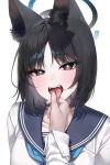  1boy 1girl :d absurdres animal_ear_fluff animal_ears black_eyes black_hair black_sailor_collar blue_archive blue_neckerchief blush cat_ears cat_girl fangs halo hand_in_another&#039;s_mouth highres kikyou_(blue_archive) medium_hair neckerchief open_mouth portrait pov pov_hands raki_kr sailor_collar saliva school_uniform serafuku shirt simple_background smile solo_focus tongue tongue_out white_background white_shirt 