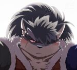 anthro blush canid canine canis domestic_dog embarrassed eyebrows first_person_view fur grey_body grey_fur lifewonders male mammal red_eyes ren_izayoi samurai scar shino_(housamo) solo thick_eyebrows tokyo_afterschool_summoners warrior