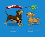 2024 blue_background brown_body brown_fur canid canine canis comparison dachshund derp_eyes domestic_dog english_text feral fur hunting_dog infographic kobi_lacroix mammal pattern_background proud simple_background striped_background text tongue tongue_out