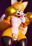 3d_(artwork) absurd_res anthro boxing bulge canid canine clothing dazed digital_media_(artwork) fox glistening glistening_body hi_res latex legwear lock_symbol locked male mammal miles_prower null null_bulge sega solo sonic_the_hedgehog_(series) sport tailsltx thigh_highs