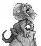 2015 absurd_res agamid ambiguous_feral ambiguous_gender claws digital_drawing_(artwork) digital_media_(artwork) fangs feet felid feral frill_(anatomy) frilled_lizard fur graystripe64 greyscale hi_res hybrid inner_ear_fluff lion lizard mammal monochrome on_rock open_mouth pantherine paws quadruped reptile rock scales scalie scratches shaded sharp_teeth simple_background solo spiked_tail spikes spikes_(anatomy) standing tail teeth tuft white_background