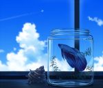  aircraft airplane blue_theme cloud condensation_trail cup fish indoors mizuasagi no_humans original scenery shell water window 