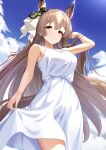  1girl absurdres animal_ears blush breasts brown_eyes brown_hair cloud cowboy_shot day dress highres horse_ears horse_girl horse_tail large_breasts long_hair looking_at_viewer open_mouth outdoors satono_diamond_(umamusume) sleeveless sleeveless_dress solo sundress sunny_(20597521) tail umamusume white_dress 