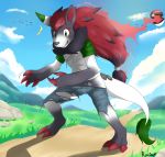  2020 anthro better_version_at_source black_body black_fur canid canine chest_tuft claws clothing dragon eyebrows fur grass grey_body grey_fur hair hair_growing hi_res mammal nintendo pok&eacute;ball pok&eacute;mon pok&eacute;mon_(species) ravieel red_claws red_inner_ear signature standing toe_claws torn_clothing transformation tuft video_games zoroark 