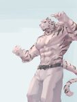  1boy abs animal_ears arknights bara belt black_belt blue_eyes cross_scar from_below furry furry_male grey_background highres looking_at_viewer looking_down male_focus mountain_(arknights) multiple_scars muscular muscular_male pants pectorals scar scar_across_eye scar_on_arm scar_on_cheek scar_on_chest scar_on_face scar_on_stomach tail tiger_boy tiger_ears tiger_stripes tiger_tail topless_male white_pants zhengshizi 