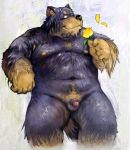  2006 anthro balls belly canid canine canis censored domestic_dog flower genitals kemono male mammal moobs nekomarudon nipples overweight overweight_anthro overweight_male penis plant solo tanukimaru 