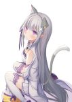  animal_ears echiru emilia_(re_zero) nekomimi re_zero_kara_hajimeru_isekai_seikatsu 