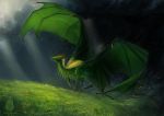  2020 absurd_res allagar ambiguous_gender claws day detailed_background digital_media_(artwork) dragon feral grass green_body green_dragon green_scales hi_res horn membrane_(anatomy) membranous_wings outside scales scalie sky solo spines western_dragon wings 