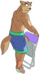  2005 anthro biped bottomwear brown_body brown_fur canid canine canis clothing domestic_dog fur gombee humanoid_hands kemono male mammal shorts simple_background solo white_background 