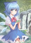  1girl absurdres animal bangs blue_bow blue_dress blue_eyes blue_hair blush bow cirno closed_mouth commentary_request dress dress_shirt eyebrows_visible_through_hair frog hair_bow hands_up highres holding holding_animal ice ice_wings looking_at_viewer multiple_girls nature outdoors pinafore_dress red_ribbon ribbon rock shirt short_dress short_hair short_sleeves sitting sleeveless sleeveless_dress smile solo touhou wading water waterfall wing_collar wings zipgaemi 
