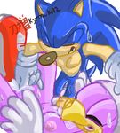  sonic_riders sonic_team sonic_the_hedgehog tagme wave_the_swallow 
