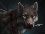  arrow blood bodily_fluids canid canine canis feral male mammal rakan ravenmadwolf scar wolf 