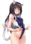  1girl animal_ear_fluff animal_ears bangs bare_shoulders black_hair blue_swimsuit blush breasts commentary gradient_hair grey_hair highleg highleg_swimsuit long_hair looking_at_viewer marisasu_(marisa0904) medium_breasts multicolored_hair navel one-piece_swimsuit princess_connect! princess_connect!_re:dive shiori_(princess_connect!) simple_background striped_tail swimsuit tail thighs tiger_ears tiger_girl tiger_tail white_background yellow_eyes 
