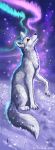  2020 ambiguous_gender canid canine canis detailed_background digital_media_(artwork) feral hitmore mammal night outside sky snow solo star starry_sky wolf 