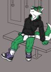  anthro blush bottomwear bulge canid canine canis clothed clothing digital_drawing_(artwork) digital_media_(artwork) english_text footwear fur green_body green_fur hair hoodie legwear looking_at_viewer male mammal meme shaded shoes simple_background sitting sneakers solo text topwear underwear white_body white_fur wolf zachary_aethern zachsroom 
