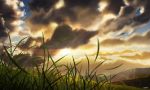  clouds grass inika original scenic signed sky sunset 